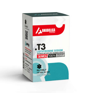T3